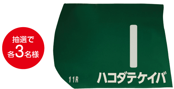 レプリカゼッケンプレゼント