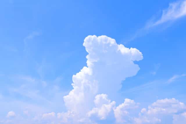 夏の空