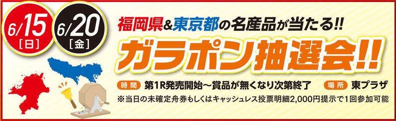 ガラポン抽選会