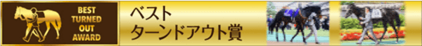 ベストターンドアウト賞