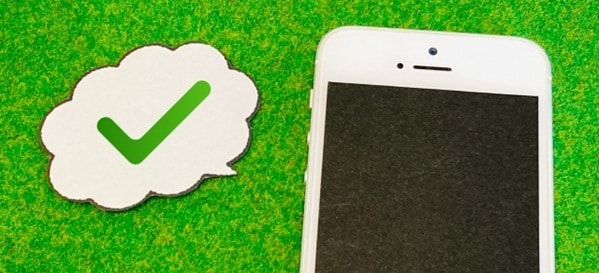 スマートフォンから投票