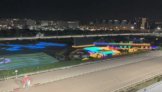 イルミネーションショー