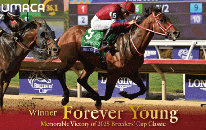 フォーエバーヤング記念カード