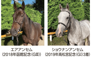 誘導馬のお出迎え