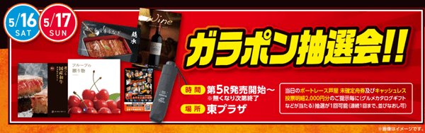 ガラポン抽選会