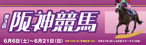 第3回阪神競馬