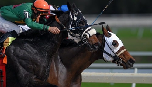 競馬のレース中のイメージ