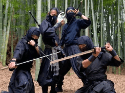 相州乱破衆 風魔忍者ショー