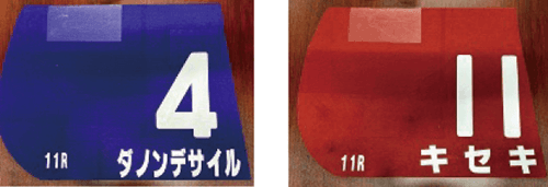実使用ゼッケン抽選会